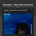 ngleakers.co