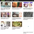 nichonatural.com