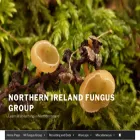 nifg.org.uk nifg.org.uk