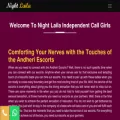 nightlaila.com