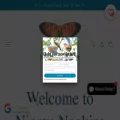 ninnysnapkins.com ninnysnapkins.com
