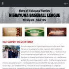 niskybaseball.com