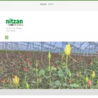 nitzanonline.com nitzanonline.com