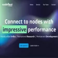 nodefleet.org
