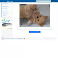 noplink.com noplink.com