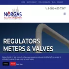 norgascontrols.com