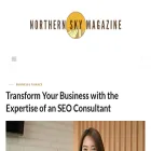 northernskymag.com northernskymag.com
