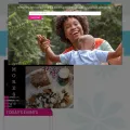 nrv.macaronikid.com nrv.macaronikid.com
