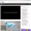 ns7.tv