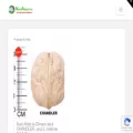 nucialtoiti.ro nucialtoiti.ro