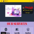 nur-lab.com nur-lab.com