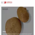 nutritionpyramids.com