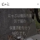 nyab.info nyab.info