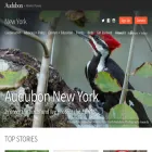 ny.audubon.org