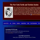 nytts.org nytts.org