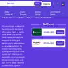nz-casinoonline.nz nz-casinoonline.nz