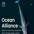 oceanalliance.org oceanalliance.org