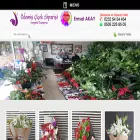 odemisciceksiparisi.com odemisciceksiparisi.com