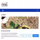 odrimedia.co.ke odrimedia.co.ke