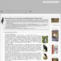 oiseaux.net oiseaux.net