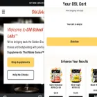 oldschoollabs.com
