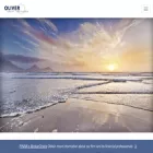 oliverassetadvisors.com