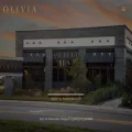 oliviatampa.com oliviatampa.com