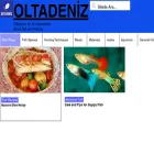 oltadeniz.com oltadeniz.com