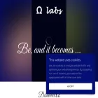omega-labs.ai