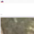 onbnews.com onbnews.com
