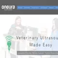 oncurapartners.com oncurapartners.com