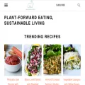 onehungrybunny.com onehungrybunny.com