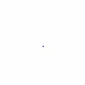 onexperience.com