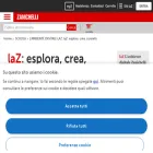 online.scuola.zanichelli.it online.scuola.zanichelli.it