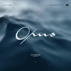 opus-home.ru