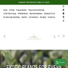orangelakenursery.com orangelakenursery.com