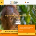orangutans-sos.org