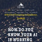 orcaarisk.com orcaarisk.com