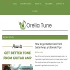 oreliatune.com oreliatune.com