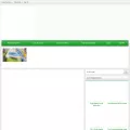 orgu-evi.com