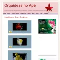 orquideasnoape.com.br