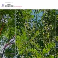 osada-seikei.com