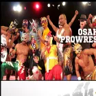 osaka-prowres.com