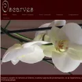 oscarves.com