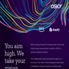 oskyinteractive.com.au oskyinteractive.com.au