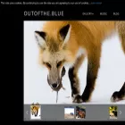 outofthe.blue outofthe.blue