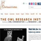 owlinstitute.org owlinstitute.org