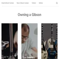 owningagibson.com owningagibson.com