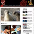 ozzyman.com ozzyman.com
