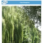 p2d.co.uk p2d.co.uk